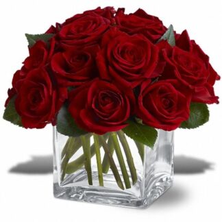 Dozen Rose Contempo