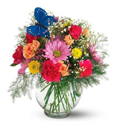 Butterfly Blossoms Bouquet flower arrangements delivered by Spedale's  Florist and Wholesale