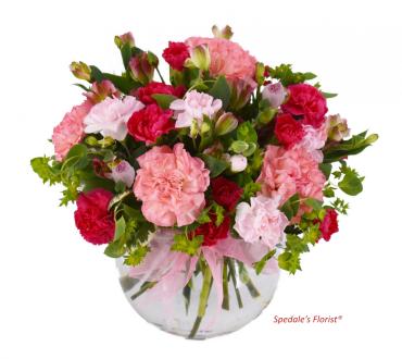 Fresh Flowers- 100 Assorted Carnations Next Day Delivery - Beautiful Gift